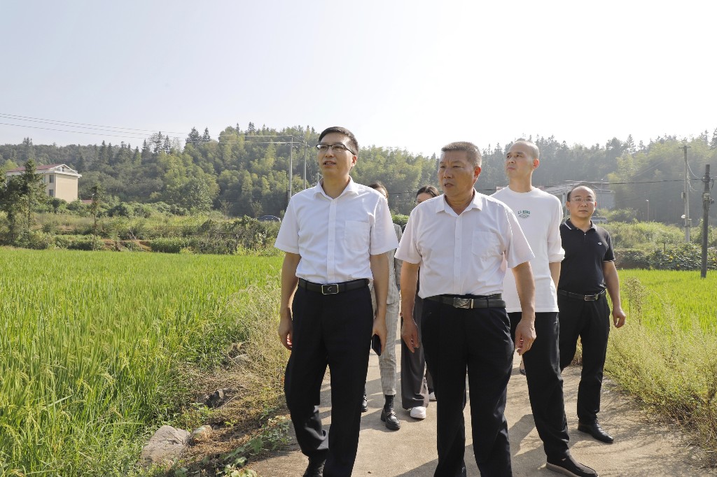 黃含茂赴衡山縣東湖鎮(zhèn)團山村調(diào)研“三聯(lián)三促”和鄉(xiāng)村振興工作