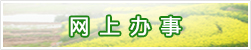網(wǎng)上辦事